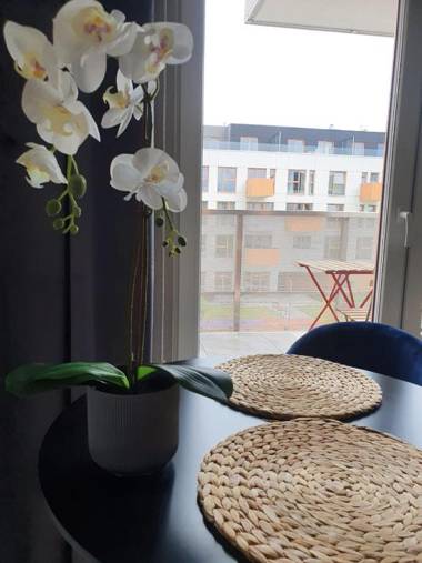 Nowe Ptasie Osiedle Ptasie Katowice