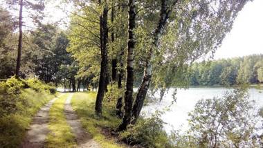 Hotel Miłosz Restauracja Basen dla dzieci Sala Zabaw Siłownia