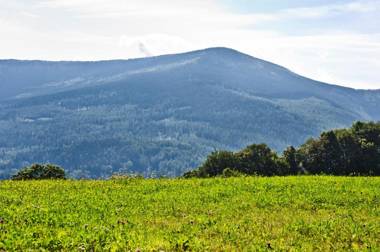 Apartamenty Sun & Snow Karpacz Myśliwska