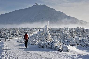Willa Góral Goralska Osada Domki Apartamenty Pokoje