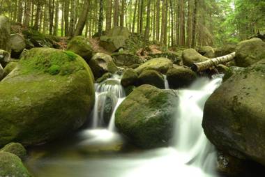 Hotel Belweder - oferta specjalna 20 procent znizki na jesien!!!