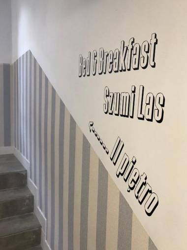 Szumi Las Bed & Breakfast