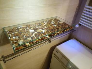 Nocleg Gdynia - City Centre