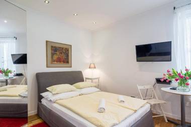 Studio - Grandtulipan