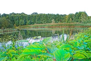 IRS ROYAL APARTMENTS Apartamenty IRS Nadmorski Dwór