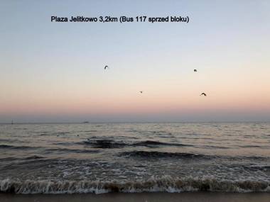 Apartament Pod Lasem