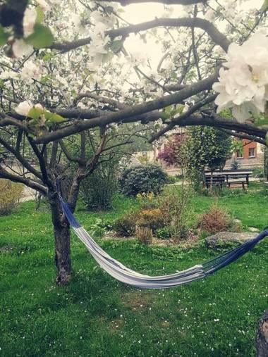 DomTurystyki Rodzinnej " Żabi Dołek "