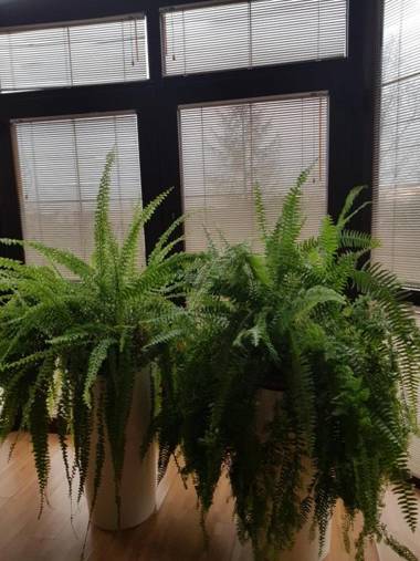 Gościniec Słoneczny