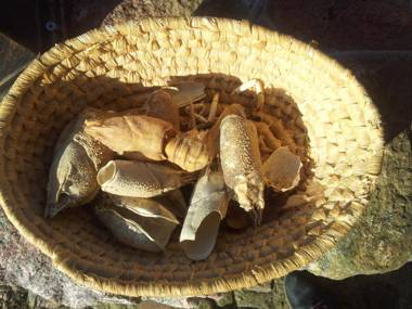 Hosteria na Mazurach