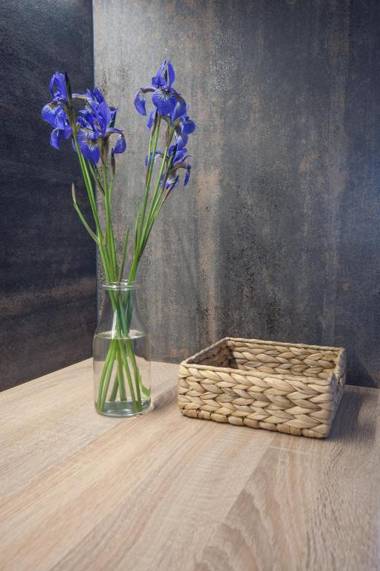 Dream Team Nordic Haven