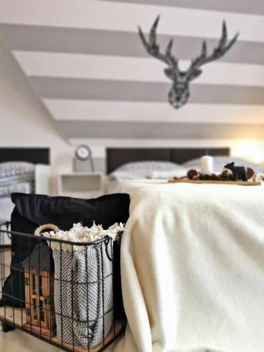 Willa Bukovinka - bliskość lasu wyciągów i term BON TURYSTYCZNY