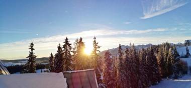 Willa Bukovinka - bliskość lasu wyciągów i term BON TURYSTYCZNY