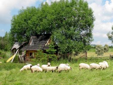 Luxury Chalet Villa Gorsky