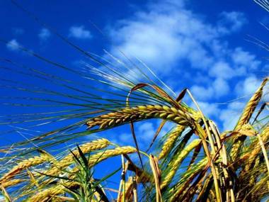 Noclegi Biała Róża
