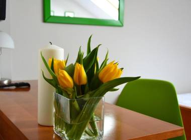 Hotel Trzy Podkowy***