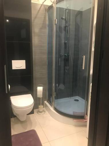 Centrum Apartment Lipowa 12