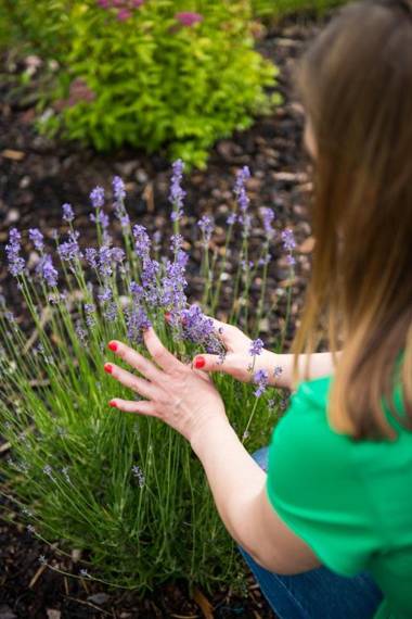 Folwark Księżnej Anny