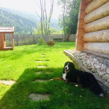 Apartament Babia Góra