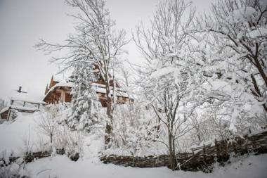 Wilcza Jama - domki z bali