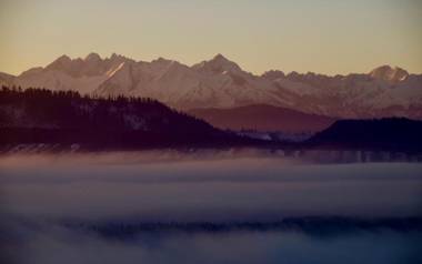 KOZA U WOZA glamping ekoSPA sery kozie&wino