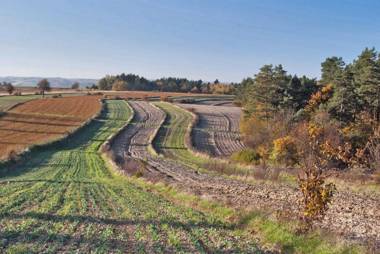 Brzozowy Dworek - Winnica Lipowiec