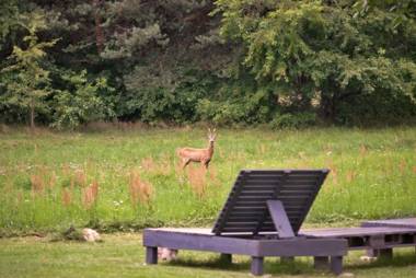 Brzozowy Dworek - Winnica Lipowiec