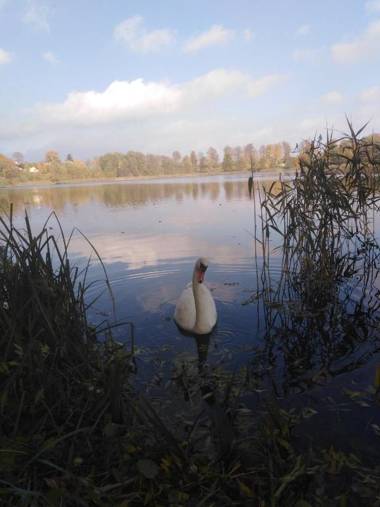 Alte Schule am See