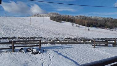 Domki Puchary Bieszczady
