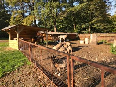 Agroturystyka Nad Stawem