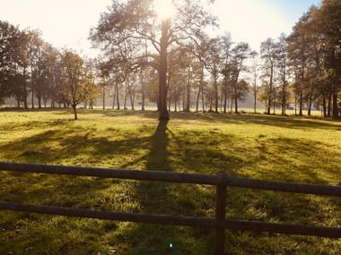 Agroturystyka Nad Stawem