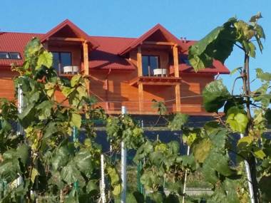 Fantastic View Apartments Beskid Mountains