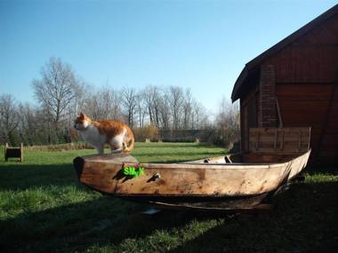 Gościniec Koćmierzów