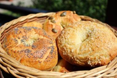 Farma Albert Korzenie