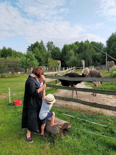 Eurostruś - domki zoo