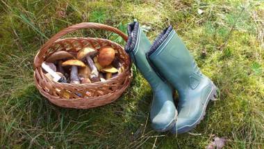 Mazurska Leśniczówka Nowy Zyzdrój