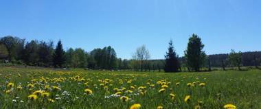 Stara Papiernia Zielony Lasek