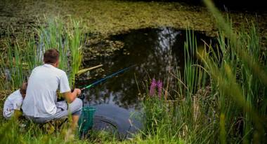 Agroturystyka Nowy Kraków