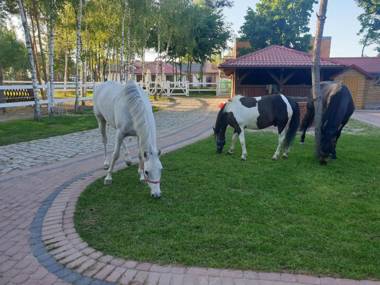 Ośrodek Agroturystyczny Zacisze