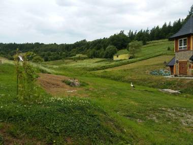 Cozy Holiday Home in Posada Górna with Barbecue