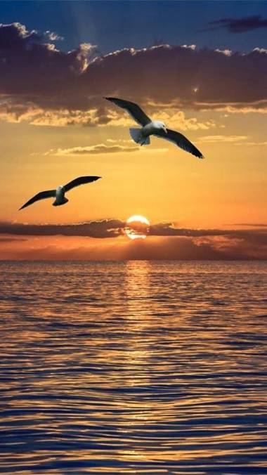 Mar Bonita Beach Appartment II