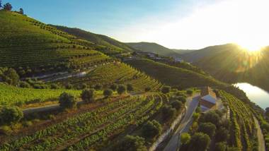 The Vine House - Quinta São Luiz