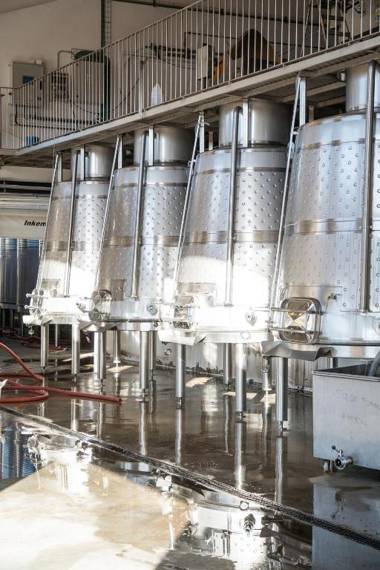 The Vine House - Quinta São Luiz