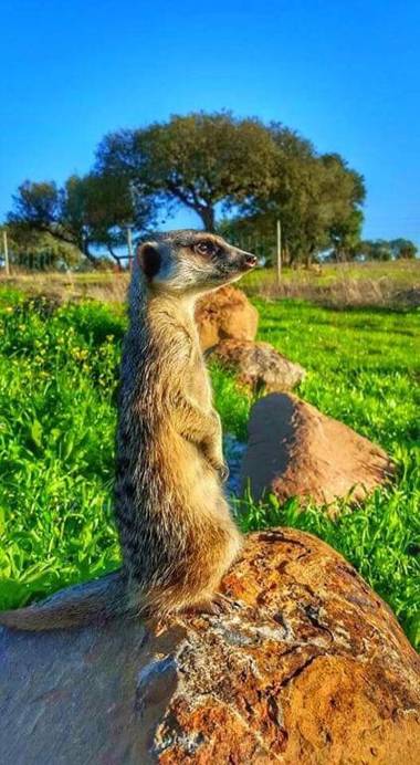 Monte Santa Catarina