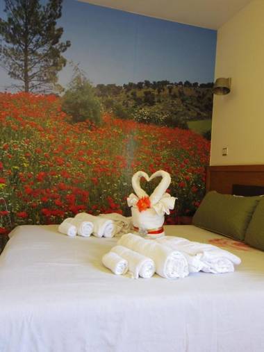 Hotel Rural Sra De Pereiras