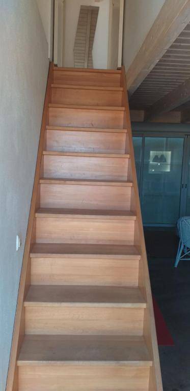 Amazigh-Casas de Vale Figueiras