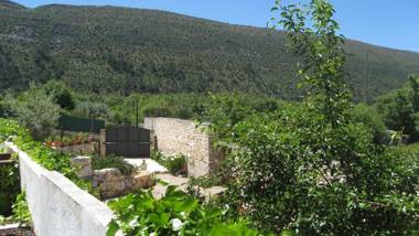 Parreirais dos Moquinhos