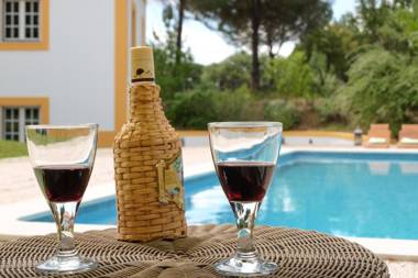 4 bedrooms villa with private pool enclosed garden and wifi at Comporta