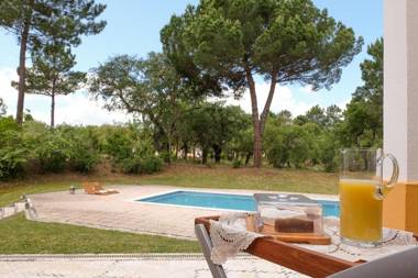 4 bedrooms villa with private pool enclosed garden and wifi at Comporta
