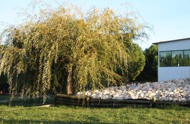 Monte Macário Alojamento Local