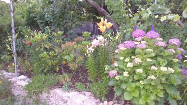 Casas da Fraga - Serra da Estrela